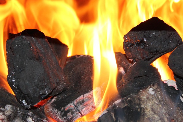 Imagen Fuego 2
